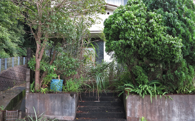 お庭のグリーン環境画像2